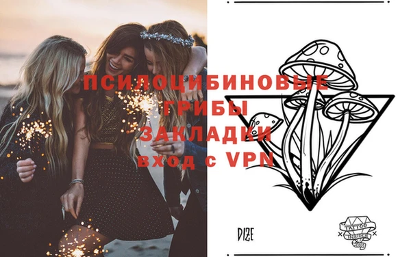 ALPHA PVP Алексеевка