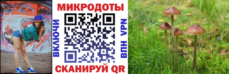 MEGA зеркало  Борзя  Галлюциногенные грибы Psilocybine cubensis 
