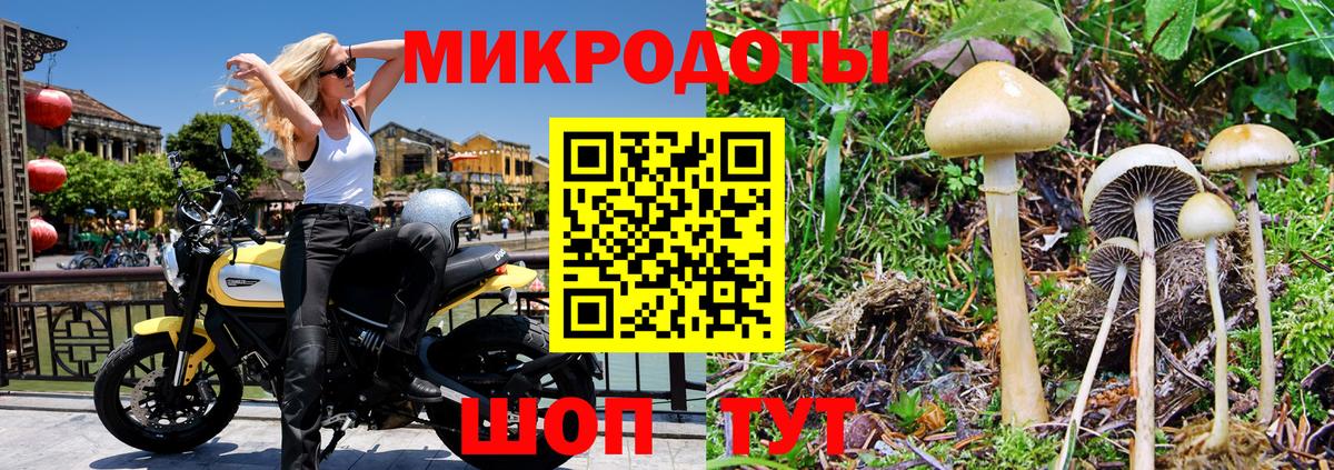 Борзя  Псилоцибиновые грибы Cubensis  купить наркотики цена  Вход с VPN 