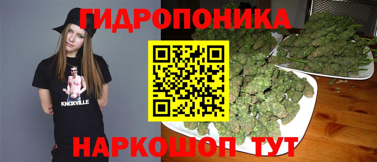 МАРИХУАНА индика Борзя